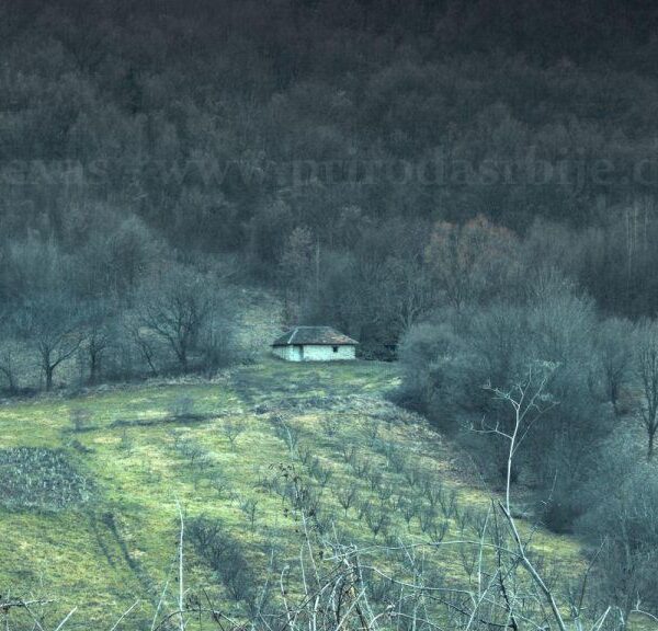 OKOLINA RESAVSKE PEĆINE